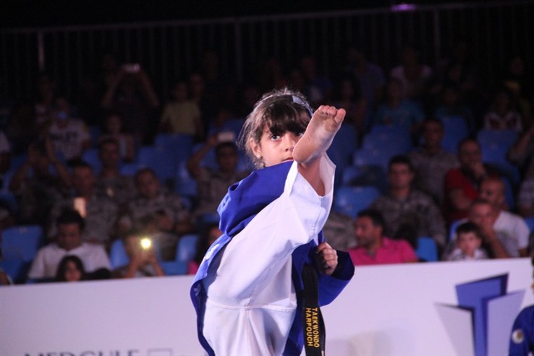 Martial Arts Festival